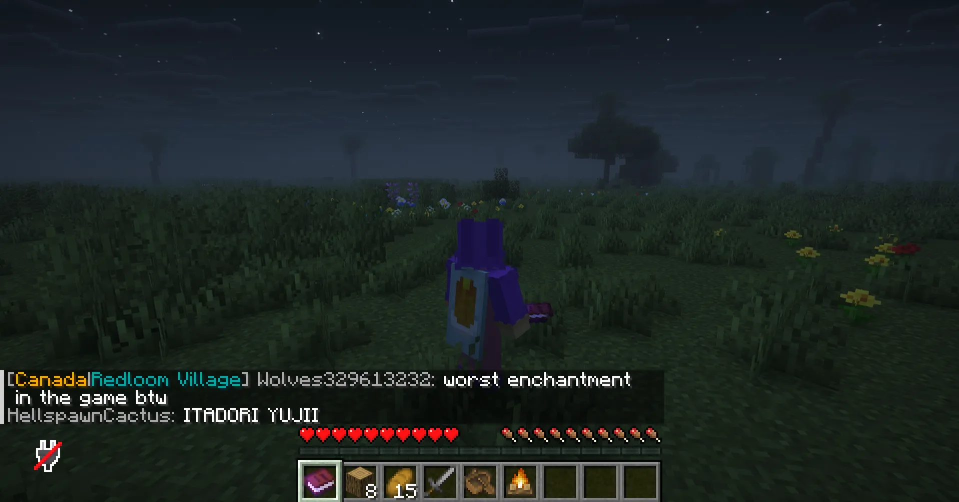 EarthMC gameplay