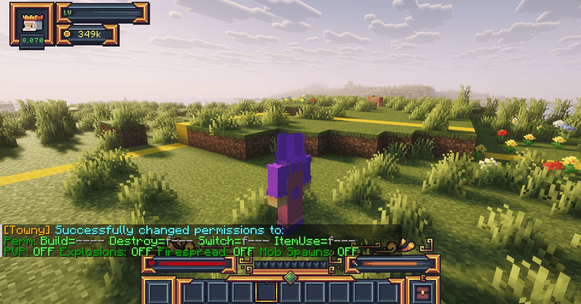 Towny plot borders showing neighboring 16x16 townblocks in Minecraft