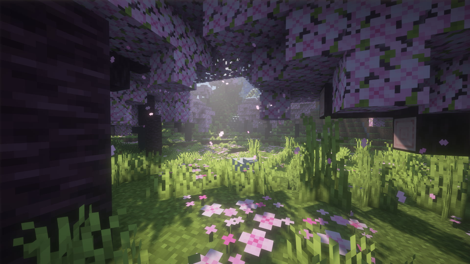 First Survival Season